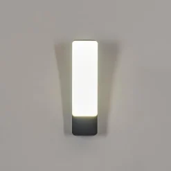 Applique murale d'extérieur Maseru LED Anthracite, 1 lumière