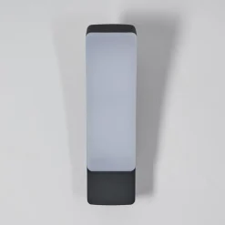 Applique murale d'extérieur Maseru LED Anthracite, 1 lumière