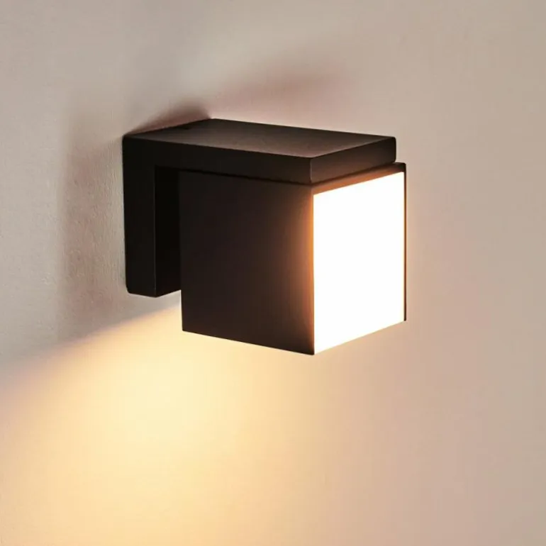 Applique murale d'extérieur Swanek LED Noir, 1 lumière