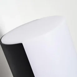 Applique murale d'extérieur Baulund LED Noir, 1 lumière