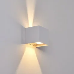 Applique murale d'extérieur Everton LED Blanc, 2 lumières