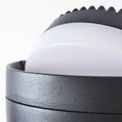 Applique murale d'extérieur Falatasa LED Anthracite, 1 lumière