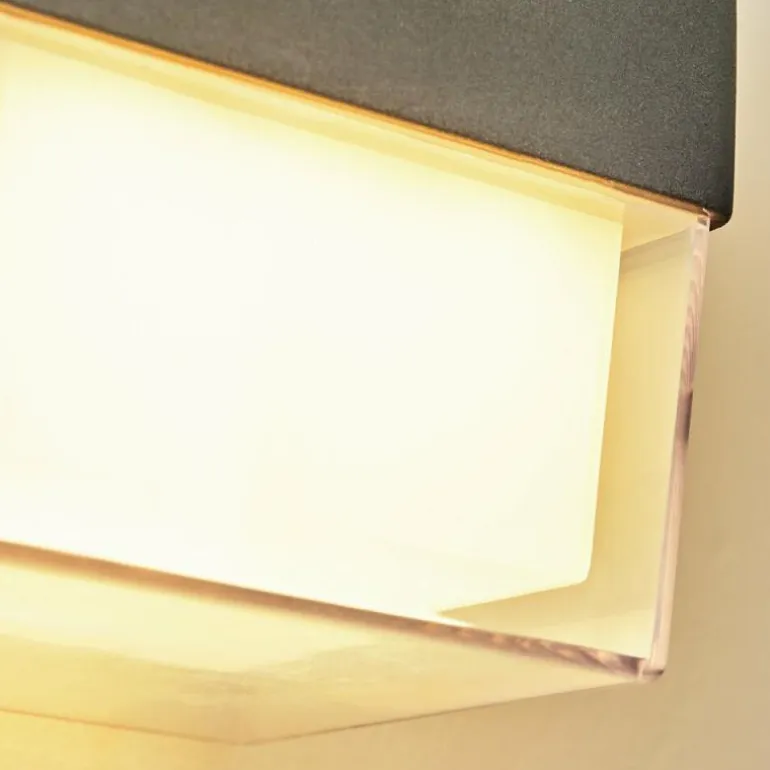 Applique murale d'extérieur Cesta LED Noir, 2 lumières