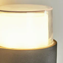 Applique murale d'extérieur Cesta LED Noir, 2 lumières