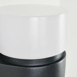 Applique murale d'extérieur Tiarp LED Noir, 2 lumières, Détecteur de mouvement