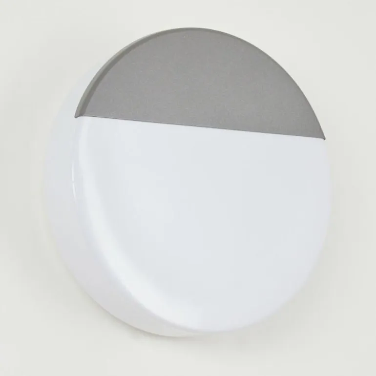 Applique murale d'extérieur Eppeland LED Anthracite, 1 lumière