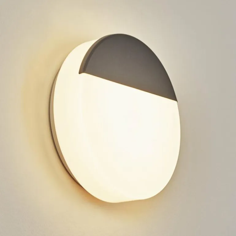 Applique murale d'extérieur Eppeland LED Anthracite, 1 lumière
