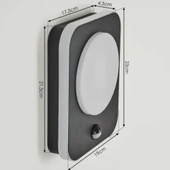 Applique murale d'extérieur Haga LED Noir, 1 lumière, Détecteur de mouvement