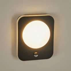 Applique murale d'extérieur Haga LED Noir, 1 lumière, Détecteur de mouvement