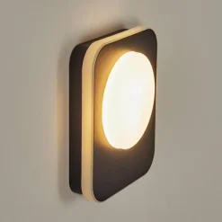 Applique murale d'extérieur Haga LED Noir, 1 lumière