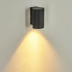 Applique murale d'extérieur Cebuentos Anthracite, 1 lumière