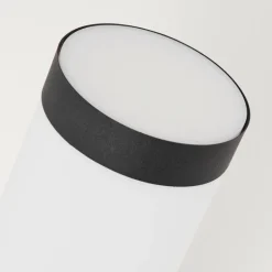 Applique murale d'extérieur Ruti Noir, 1 lumière