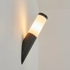 Applique murale d'extérieur Ruti Noir, 1 lumière