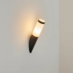 Applique murale d'extérieur Ruti Noir, 1 lumière