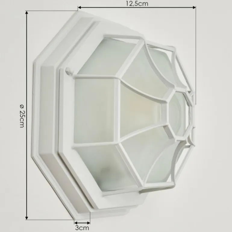 Applique murale d'extérieur Ibacache Blanc, 1 lumière