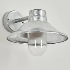 Applique murale d'extérieur Pumiri LED Zingué, 1 lumière