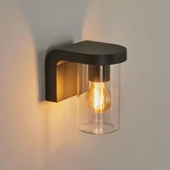 Applique murale d'extérieur Radnor Anthracite, 1 lumière