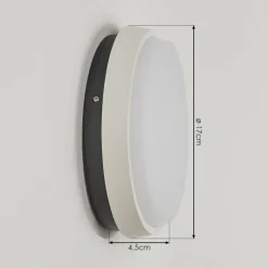 Applique murale d'extérieur Centinela LED Anthracite, Blanc, 1 lumière