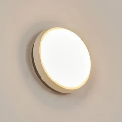 Applique murale d'extérieur Centinela LED Anthracite, Blanc, 1 lumière