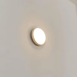Applique murale d'extérieur Centinela LED Anthracite, Blanc, 1 lumière