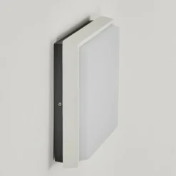 Applique murale d'extérieur Gomero LED Anthracite, Blanc, 1 lumière