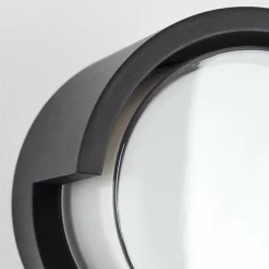 Applique murale d'extérieur Vurey LED Noir, 1 lumière