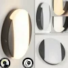 Applique murale d'extérieur Joserand LED Anthracite, 1 lumière
