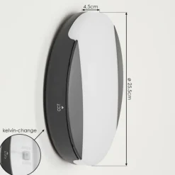 Applique murale d'extérieur Joserand LED Anthracite, 1 lumière