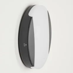 Applique murale d'extérieur Joserand LED Anthracite, 1 lumière