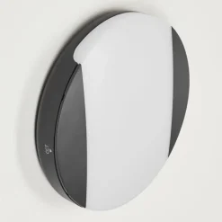 Applique murale d'extérieur Joserand LED Anthracite, 1 lumière