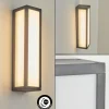 Applique murale d'extérieur Apidou LED Anthracite, 1 lumière