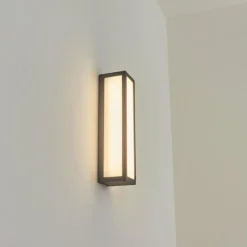 Applique murale d'extérieur Apidou LED Anthracite, 1 lumière