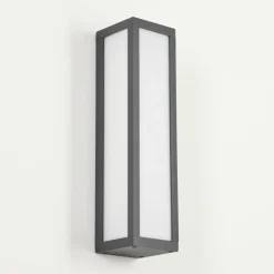 Applique murale d'extérieur Apidou LED Anthracite, 1 lumière