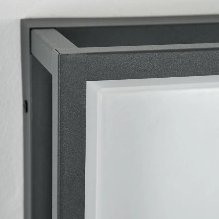Applique murale d'extérieur Nonza LED Anthracite, 1 lumière