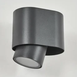 Applique murale d'extérieur Guampacha Anthracite, 1 lumière