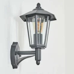 Applique murale d'extérieur Moskau Anthracite, 1 lumière