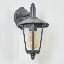 Applique murale d'extérieur Moskau Anthracite, 1 lumière