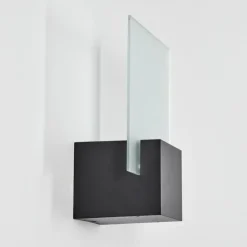 Applique murale d'extérieur Aasbo LED Noir, 1 lumière