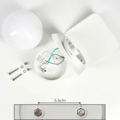 Applique murale d'extérieur Wimmis Blanc, 1 lumière