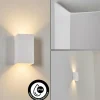 Applique murale d'extérieur Tamarin LED Blanc, 1 lumière