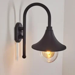 Applique murale d'extérieur Brilliant Berna Noir, 1 lumière