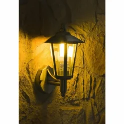 Applique murale d'extérieur Moskau Acier inoxydable, Transparent, 1 lumière