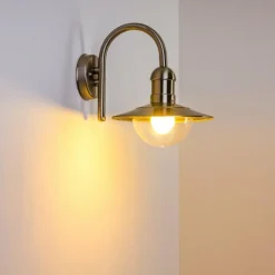 Applique murale d'extérieur Elima Acier inoxydable, 1 lumière