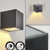 Applique murale extérieure solaire Lapeer LED Noir, 1 lumière
