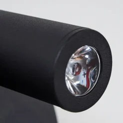 Applique murale Rukutu LED Noir, 2 lumières