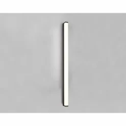 Applique murale Trio-Leuchten Fabio LED Noir, 1 lumière