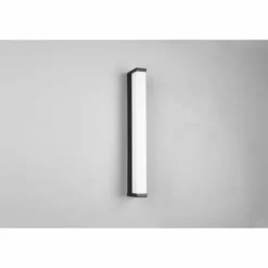 Applique murale Trio-Leuchten Fabio LED Noir, 1 lumière