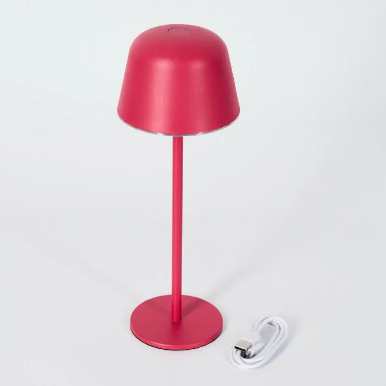 Asen Lampe de table d'extérieur, Lampe à poser LED Rose, 1 lumière