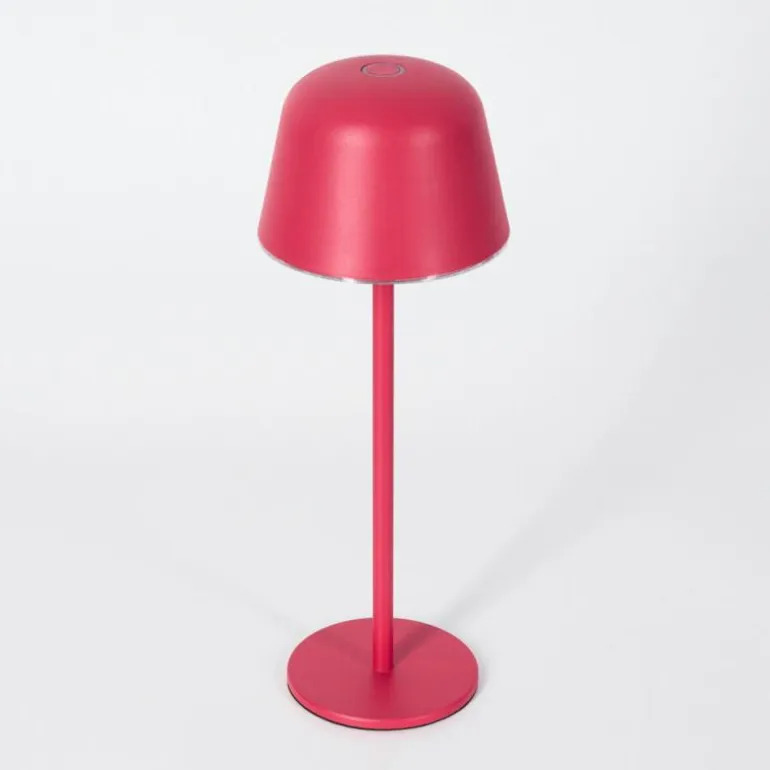 Asen Lampe de table d'extérieur, Lampe à poser LED Rose, 1 lumière