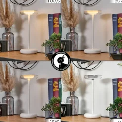 Baigorrita Lampe de table d'extérieur, Lampe à poser LED Blanc, 1 lumière